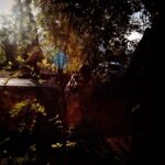 Natalia Lafourcade Instagram - Que viva el amor hoy y todos los días de nuestras vidas. Deseo que sigamos caminando bonito. Les amo mi gente linda. Les mando muchos cariñitos ♥️🙏🏻🌻 La Toscana, Italia
