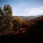 Natalia Lafourcade Instagram - Que viva el amor hoy y todos los días de nuestras vidas. Deseo que sigamos caminando bonito. Les amo mi gente linda. Les mando muchos cariñitos ♥️🙏🏻🌻 La Toscana, Italia