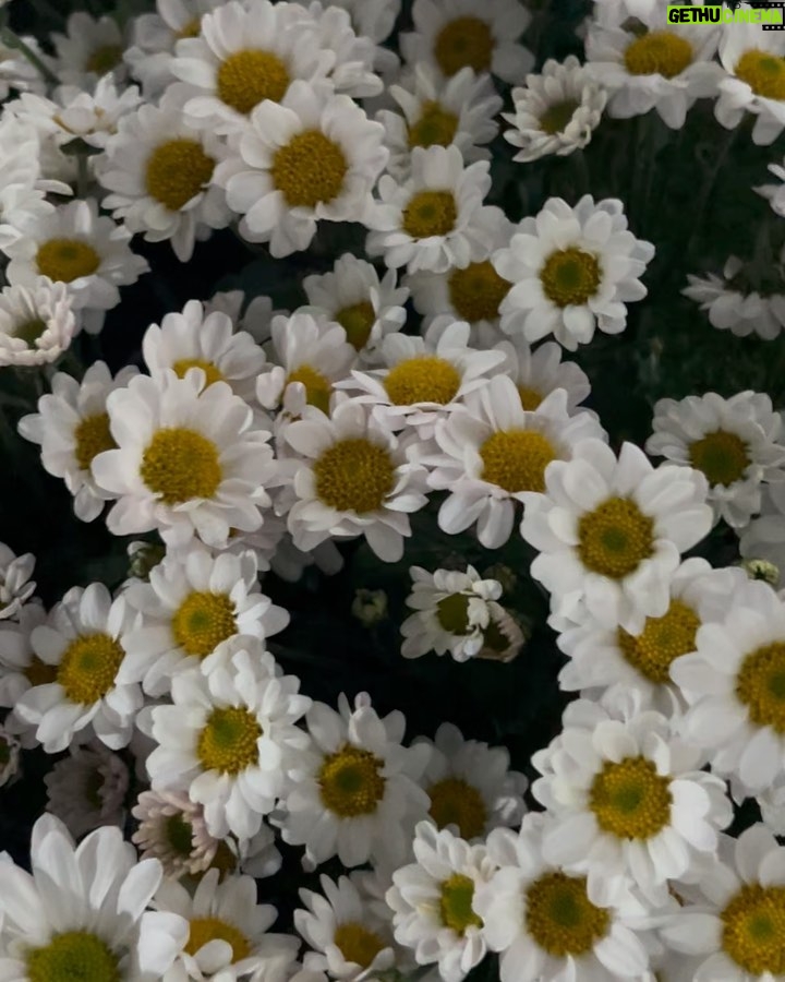 Natalia Oreiro Instagram - Me quiere, no me quiere Me quiero🌼🤓💛 Nueva colección de gafas👓 @byranieri @lasoreirooficial @brunoilusorio @luligemelli @karinacamporinomkp @giachinomatias @veronica.bonomo @tomas_bergman @anteraestudio Любит, не любит? Я люблю себя 🌼🤓💛