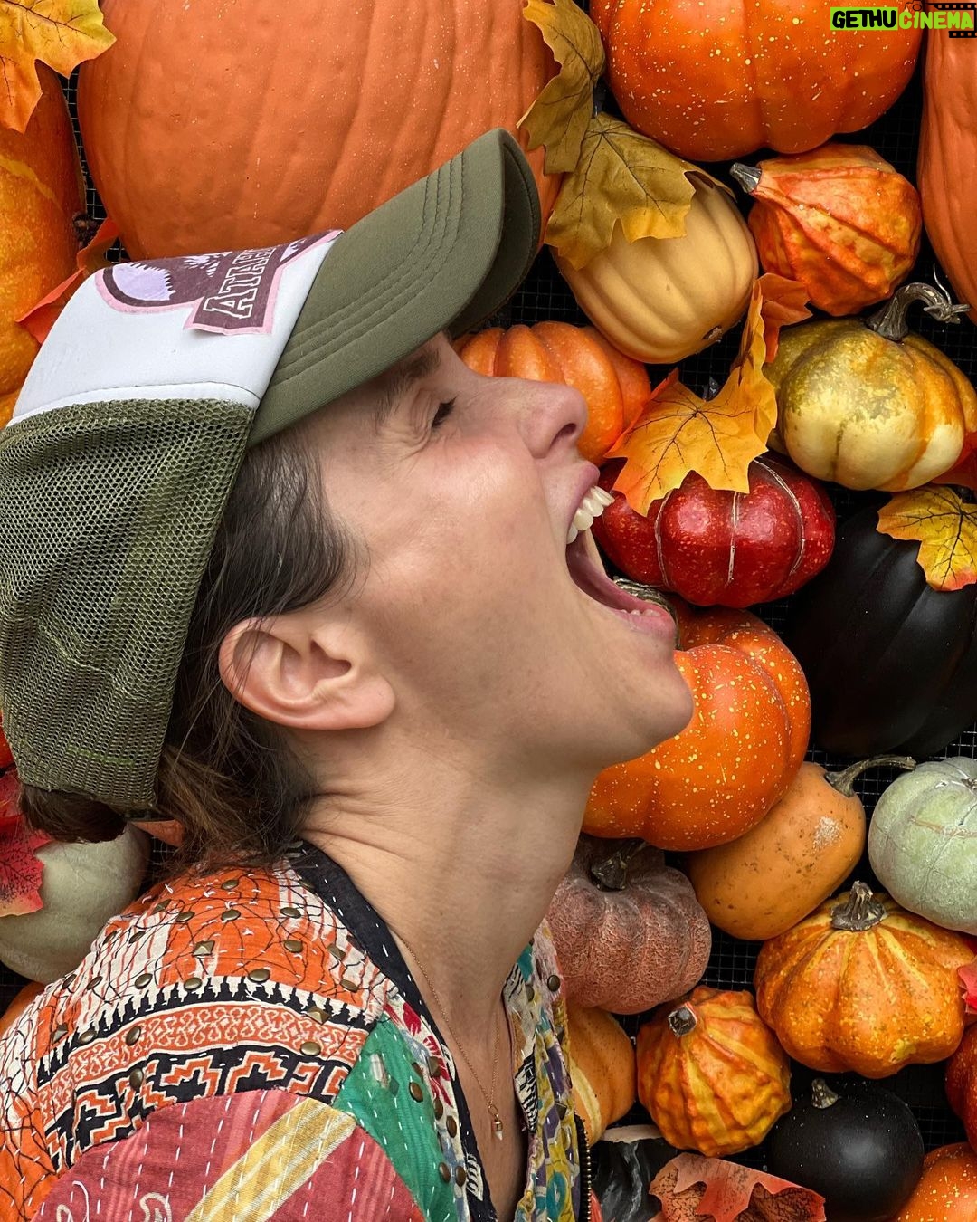 Natalia Oreiro - 84.3K Likes -
Carretito de paseo
🌺🎃🐢🌸🦉☀️🐷
Que tengan lindo día
-
Всем хорошего дня
🌺🎃🐢🌸🦉☀️🐷