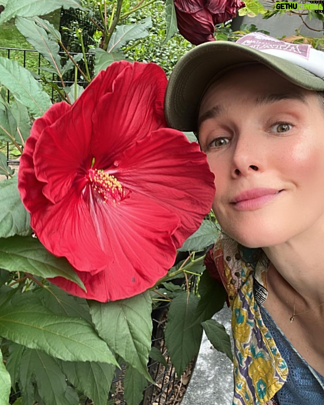 Natalia Oreiro - 84.3K Likes -
Carretito de paseo
🌺🎃🐢🌸🦉☀️🐷
Que tengan lindo día
-
Всем хорошего дня
🌺🎃🐢🌸🦉☀️🐷