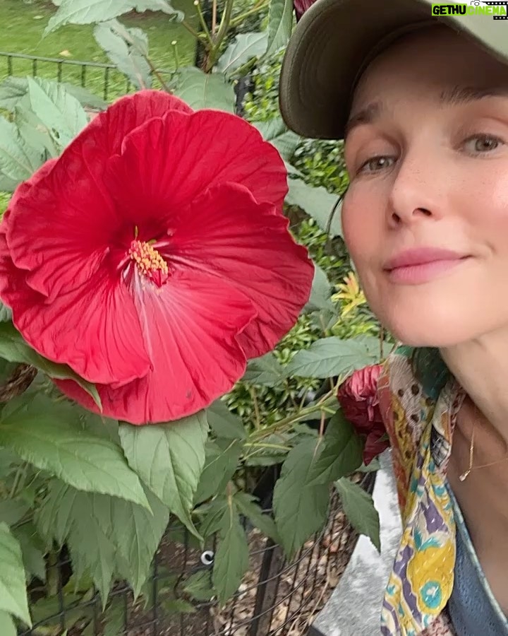 Natalia Oreiro - 84.3K Likes -
Carretito de paseo
🌺🎃🐢🌸🦉☀️🐷
Que tengan lindo día
-
Всем хорошего дня
🌺🎃🐢🌸🦉☀️🐷