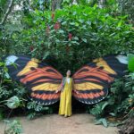 Natalia Oreiro Instagram - ⁣ Un año más 🦋 Gracias por sus mensajes de amor🍀🦜 🧡🎂🎈 - Еще один год 🦋 Спасибо за ваши сообщения, наполненные любовью 🍀🦜🧡🎂🎈