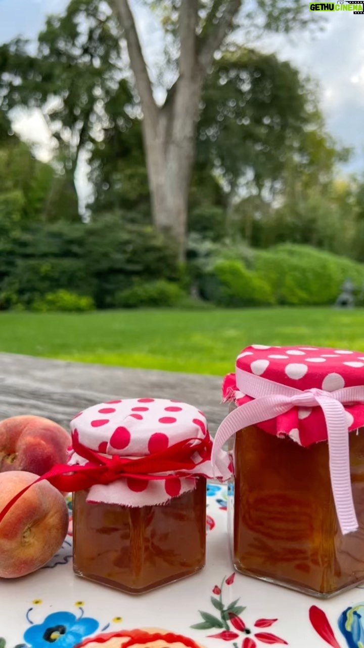 Natalia Oreiro Instagram - Mermelada de duraznos orgánicos 🍑 Cosecha 2022 de Ata y mamá Paso 1 Pelar los duraznos y descarozalos. Procesar la pulpa hasta que quede bien desecha. Agregar el azúcar, el jugo de limón y la ramita de canela. Mezclar bien. Paso 2 Poner la preparación en una cacerola gruesa. Las de cobre son ideales porque transmiten el calor de forma pareja. Cocinar la memelada a fuego bajo, revolviendo suavemente de vez en cuando. Usar una cuchara de madera. Paso 3 Para comprobar el punto, poner una cucharada en un platito, llevalo 2 minutos a la heladera para que se enfríe y pasále la cuchara de madera trazando un surco. Si se mantiene separado está listo, si se junta cocinalo un poco más. Paso 4 En caliente, poner la mermelada de durazno en frascos esterilizados dejando 1 centímetro libre antes de llegar al borde. Tapar con tapas nuevas y esterilizadas y poner los frascos boca abajo 10 minutos. Pasado ese tiempo, darlos vuelta (ponerlos al derecho) y dejalos enfriar. Conservar los frascos en un lugar fresco, seco y oscuro durante 1 año. Una vez abierto, guardarlo en la heladera y comerlo dentro de los 15 días.