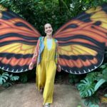 Natalia Oreiro Instagram - ⁣ Un año más 🦋 Gracias por sus mensajes de amor🍀🦜 🧡🎂🎈 - Еще один год 🦋 Спасибо за ваши сообщения, наполненные любовью 🍀🦜🧡🎂🎈