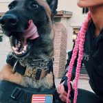 Natalie Eva Marie Instagram - This mornings run 🏃🏻‍♀️ with my tried and true 🇺🇸 🐺 LAST pic is my favorite 🤣 - Let’s Go Get Some! - WWW.𝐍𝐚𝐭𝐚𝐥𝐢𝐞𝐄𝐯𝐚𝐌𝐚𝐫𝐢𝐞.𝐜𝐨𝐦 🩷Outfit/shoes/Sunnies : @tyrsport 📦 For Free Shipping Use My Code : NEMFGS #NEMFIT #HealthIsWealth #NEMRecovery #FullBodyWorkout #HealthyLifestyle #FitnessMotivation #BangBang #ninerGang