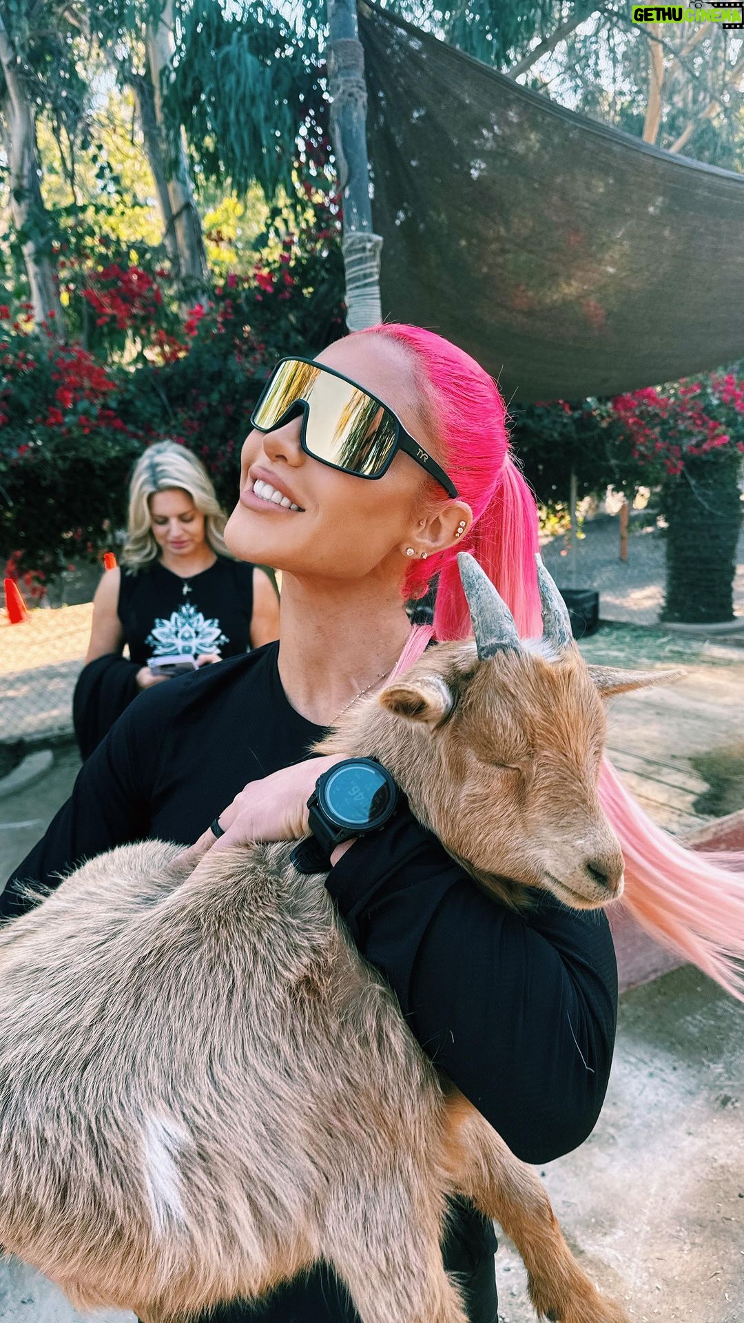 Natalie Eva Marie Instagram - We did a little goat yoga this morning 🐐🧘♀️with the amazing @courtneyfriel before having her on our podcast @thehopeaholics 🎙️ Can’t wait for you guys to hear her story! 🚨 Subscribe to @thehopeaholics podcast so you don’t miss it 💫 @chaddictttt @shaneearn - 🎥 @emilyannereinhart