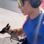Natalie Eva Marie Instagram - Me and the beast got some miles in this morning 🏃🏻‍♀️🐺 and finished with a hill sprint 🥵 - Sprint up hill with a Belgian malinois and that will humble u reallll quick 😭 - 🚀Health is wealth!! Who got their sweat on today?! - WWW.𝐍𝐚𝐭𝐚𝐥𝐢𝐞𝐄𝐯𝐚𝐌𝐚𝐫𝐢𝐞.𝐜𝐨𝐦 💫Outfit/shoes/ : @tyrsport 📦 For Free Shipping Use My Code : NEMFGS