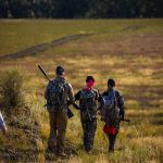 Natalie Eva Marie Instagram - New Mexico #Elk #Hunt: Day One Reflection Embarking on my second #hunting season in the picturesque landscapes of New Mexico, alongside cherished company, I am constantly reminded of the old adage, "Health is wealth." Our journey towards a more conscious approach to food sourcing has evolved significantly. We've ventured into cultivating our own vegetables, rearing chickens for fresh eggs, and scrutinizing the origins of every edible we consume. The privilege of leading such a conscientious life doesn't go unnoticed, and for this, I'm deeply appreciative. Being an avid consumer of red meat, my preferences are unequivocal: I seek meat that is not only of premium quality but also dense in nutrients. Enter Elk. A comparative analysis between 4oz of Elk tenderloin and Beef tenderloin provides intriguing insights: Elk Tenderloin: - 180 calories - 3.9 grams of fat (abundant in omega 3) - 35 grams of protein - Laden with essential vitamins and minerals Beef Tenderloin: - 301 calories - 19.3 grams of fat (sparse in omega 3) - 29.9 grams of protein Evidently, Elk stands unparalleled — it's the veritable superfood within the meat domain! The sheer joy of immersing oneself in nature, in the company of loved ones, and the pursuit of procuring wholesome food for our larder is immeasurable. Here's to sustaining optimum health through informed choices!