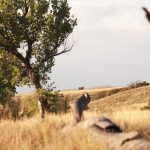 Natalie Eva Marie Instagram - New Mexico #Elk #Hunt: Day One Reflection Embarking on my second #hunting season in the picturesque landscapes of New Mexico, alongside cherished company, I am constantly reminded of the old adage, "Health is wealth." Our journey towards a more conscious approach to food sourcing has evolved significantly. We've ventured into cultivating our own vegetables, rearing chickens for fresh eggs, and scrutinizing the origins of every edible we consume. The privilege of leading such a conscientious life doesn't go unnoticed, and for this, I'm deeply appreciative. Being an avid consumer of red meat, my preferences are unequivocal: I seek meat that is not only of premium quality but also dense in nutrients. Enter Elk. A comparative analysis between 4oz of Elk tenderloin and Beef tenderloin provides intriguing insights: Elk Tenderloin: - 180 calories - 3.9 grams of fat (abundant in omega 3) - 35 grams of protein - Laden with essential vitamins and minerals Beef Tenderloin: - 301 calories - 19.3 grams of fat (sparse in omega 3) - 29.9 grams of protein Evidently, Elk stands unparalleled — it's the veritable superfood within the meat domain! The sheer joy of immersing oneself in nature, in the company of loved ones, and the pursuit of procuring wholesome food for our larder is immeasurable. Here's to sustaining optimum health through informed choices!