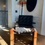 Nate Berkus Instagram - Olive’s favorite spot. Who knew a family cat would grow on me 🤷🏻‍♂️