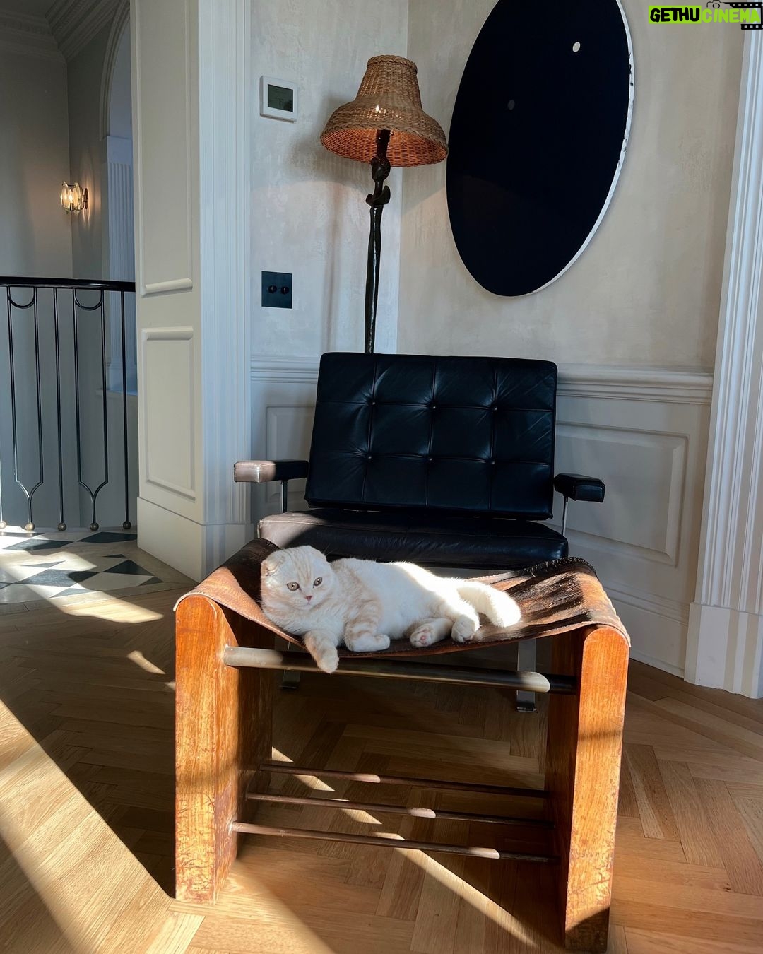 Nate Berkus Instagram - Olive’s favorite spot. Who knew a family cat would grow on me 🤷🏻♂️