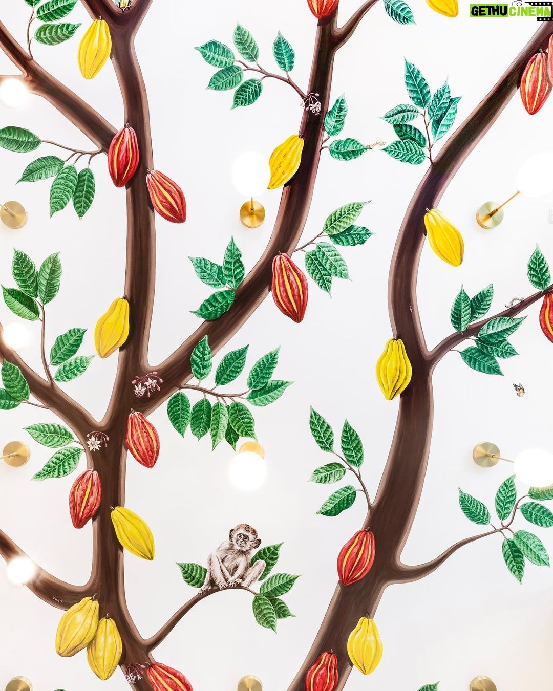 Nate Berkus Instagram - I am often asked if I only work on residential spaces, but the truth is I have worked on all sorts of projects from hotels, to cruise ships, to chocolate shops. One of my favorites (totally unrelated to the snacking I swear) was this @and.sons flagship in Beverly Hills.