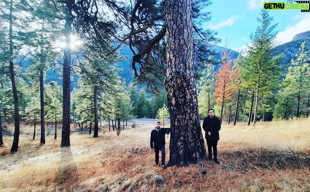 Nathalie Boltt Instagram - Big day for forest protection! Today the BC government under the new Premier @davidebybc started to remove several critical barriers towards protecting endangered old-growth forests in BC. They removed the clause that has limited forest conservation measures for decades, committed to develop a conservation financing mechanism within 6 months to support First Nations - this is the real game changer- and with First Nations support, have added about 200,000 hectares of additional old growth forests into logging deferral areas. First Nations support is a legal necessity for establishing new protected areas in BC - Read our new press release @kenwukenwu @endangeredecosystemsalliance @ancientforestalliance #oldgrowthforest #bigtree #ipca #endangeredecosystemsalliance #ancientfo