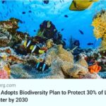 Nathalie Boltt Instagram - The most important decisions in our history are being made right now. @davidebybc Repost from @kenwukenwu • Major progress!! Agreement to at least double land protection across Earth from 15% now to 30% by 2030 (and Canada has a 25% by 2025 interim goal...currently only 12% of Canada is protected), and to quadruple coastal marine protection from under 8% now to 30% by 2030. Plus $30 billion/yr in financing by 2030 from wealthy nations to help developing countries (where the vast majority of biodiversity is in the tropics and subtropics) to protect ecosystems too. Still short on what is needed - scientists say 50% by 2030 of Earth should be in protected or defacto protected areas by 2030 to best avert the climate crisis - but a huge leap beyond our previous 17% protection commitment. This upwards pull will also exert major pressure within Canada - if we use this leverage as a conservation movement to expand protection across the country, in particular by pressuring the provinces (who except for Quebec and BC have not committed to the targets nor the funding) to get on board the national and international protected areas momentum. Besides overall targets, ecosystem-based targets are vital (ie. All ecosystems need targets otherwise governments will tend to skirt around saving the areas most coveted by industry, including productive old-growth forests, grasslands, southern deciduous and mixed forests, etc. and mainly save tundra, taiga, bogs, alpine and subalpine areas) as well as provincial funding in particular for private land acquisition and supporting First Nations Indigenous Protected Areas initiatives.