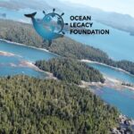 Nathalie Boltt Instagram - These guys @theoceanlegacy are my neighbours and total legends! Hauling all that awful plastic out of oceans, beaches and waterways and working with @fullcircleplastics to turn it into usable materials. This makes me hopeful. They deserve all your love and support! 💚🌏 Repost from @theoceanlegacy • Presenting the brand new collaboration between Ocean Legacy Foundation's company Legacy Plastic™ and the Alberta company Full Circle Plastics Ltd. showcasing the ocean reclaimed plastic Sustainable Lumber and Benches. . . . Learn more: --- https://oceanlegacy.ca --- https://fullcircleplastics.com --- https://legacyplastic.ca --- https://oceanplasticdepot.ca . . A very special thank you to Adham Shaikh for producing the video and music! --- https://www.sonicturtlemusic.com/