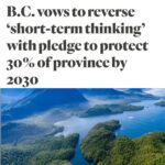 Nathalie Boltt Instagram - A MASSIVE, HISTORIC BREAKTHROUGH. Thanks to everyone who emailed, called, protested, cared. Biggest thanks to @endangeredecosystemsalliance and @ancientforestalliance who push the policy makers and work tirelessly to do the right thing. Please read the full article at @thenarwhalca - our new premier @davideby is working with indigenous leaders to make REAL change. Let’s make sure it happens by keeping up the pressure. Congrats, friends. I’m so happy I could hug you all to bits! #BC #canada #saveourendangeredspecies #saveourancientforests 💚💚💚🌏 🌳