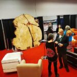 Nathalie Boltt Instagram - Repost from @fairycreekblockade • 💢🌐 COP 15 🌐💢 UPDATE; The 750 year old cross cut of a tree, came from so called British Columbia, all the way to Montreal, where it is telling it's story for the United Nations. This Douglas Fir tree was cut by industry in 2020. Activists and land defenders cut a ‘cookie’ off the stump and blocked the Caycuse bridge to hault old growth logging. RCMP smashed Her down, breaking Her into pieces, arresting land defenders and activist allys. Now She stands as a testament to the loss of culture and biodiversity we are facing in Canada. Representing hope, unity and resiliency, we honour this fallen ancestor as we stand against extractive industry on unceded territory! ✊🏽🪶 Our Circles are really growing worldwide on a epic scale. The full impact of bringing Cookie is yet to be fully understand, but change is in the air. This morning Fairy Creek and the last Ancient Temperate Rainforests is big news around the world. Elisapie Isaac played at COP15 last night. She is a Inuk singer-songwriter, broadcaster, documentary filmmaker, and activist and she delivered a special message to Shawna in support of all her hard work. "Wolves Don’t Live by the Rules" The Cookie was lowered with help from people around the world. It's very strange to be out of the forest and at the UN talking with world leaders, Investment Bankers, policymakers, Princesses, Prime Ministers and Presidents. Indeed our Circle has grown. Elder Bill Jones and David Suzuki wrote a scolding letter to the United Nations regarding Grandma Losah and other indigenous peoples who were stopped from bringing ceremonial drums into COP. Many thanks to the Global Greens for getting us Observer passes and the Manager of The Canadian Povillion for letting Cookie into COP 15 to tell her story. This is only one of the outreach initiatives we’ve done, and we need your help. This journey was organized by The Dzunukwa Society lead by @aunty_rainboweyez @rose_henry_tlaamin and @shawnaknightisrad We can’t do this without your help! Donate via the link in bio