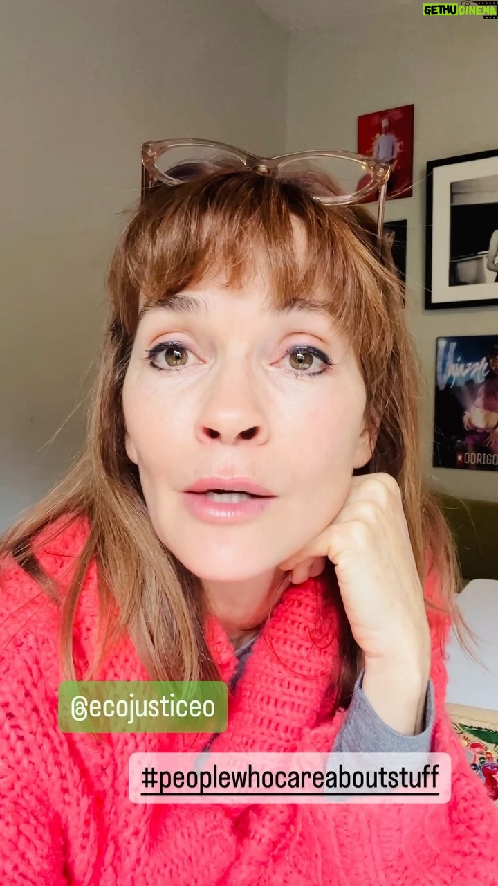 Nathalie Boltt Instagram - Let’s turn this thing around. I believe Canada and @stevenguilbeault can save the #spottedowl and #marbledmurrelet by protecting their full habitats - and NOW. This country can become the poster child for saying sorry and doing better. Isn’t that what it’s known for? #dobetterCanada #gettingsued @canada.gov.ca #extinction #criticallyendangered #criticallyendangeredbirds #criticallyendangeredspecies #Canada #defirestation #dobetterSteven #sorry #sorryyessorry #oldgrowthforests #oldgrowthforlife #bc #britishcolumbia