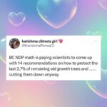 Nathalie Boltt Instagram - Holy fuck! I thought MY math was bad. Thank you @karishmaclimategirl for pointing out the pathetic abilities of the Canadian government @justinpjtrudeau #backtoschoolfools Repost from @karishmaclimategirl • no one is safe today I’m feeling fiesty #canadaclimatekiller