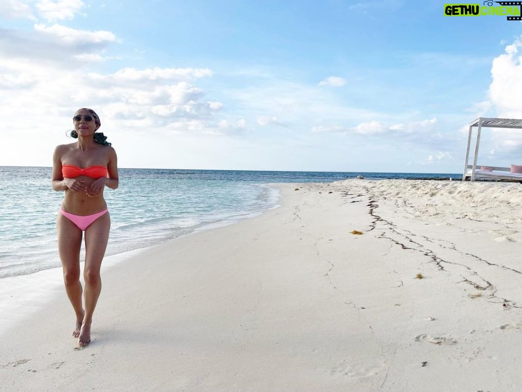 Nathalie Emmanuel Instagram - If you were on a desert island… 🌴☀️🌊🦀🦎#prickleypear at @hodgesbay_antigua Hodges Bay, Antigua.