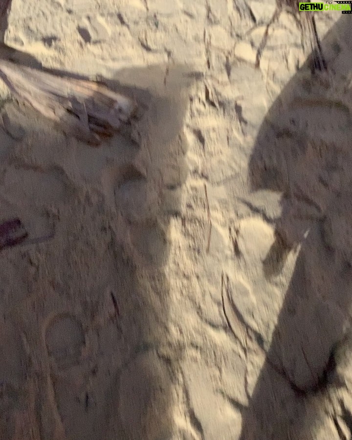 Nathan Fillion Instagram - Spoiler alert! Don’t watch if you haven’t seen #thesuicidesquad yet. Also, no Pete Davidsons were harmed in the making of this video. Also, why the hell haven’t you seen #thesuicidesquad yet? #loudestwinkever