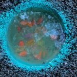 Nathan Fillion Instagram - I decided to fix a pothole on my street. Learned a lot for how to do it next time. Clean, fill (minus one spot), paint, fill with epoxy resin, add goldfish.