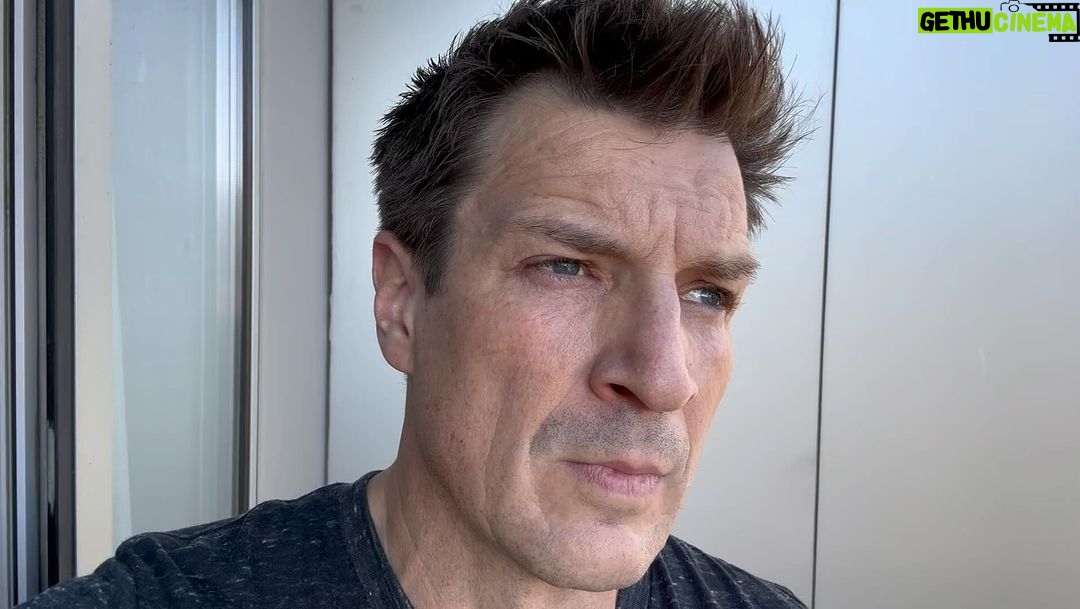 Nathan Fillion Instagram - The amazing folks @apexprotectionproject are doing incredible work. You too can help save the wolves by donating here: https://bit.ly/3UQxzUy