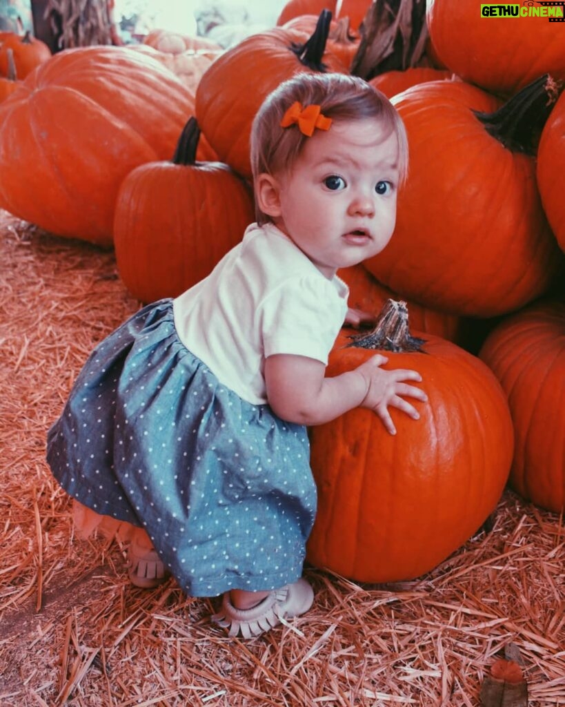 Nathan Kress Instagram - "Dis mine. Dis my punkin'. Yoo can't have it." - Rosie