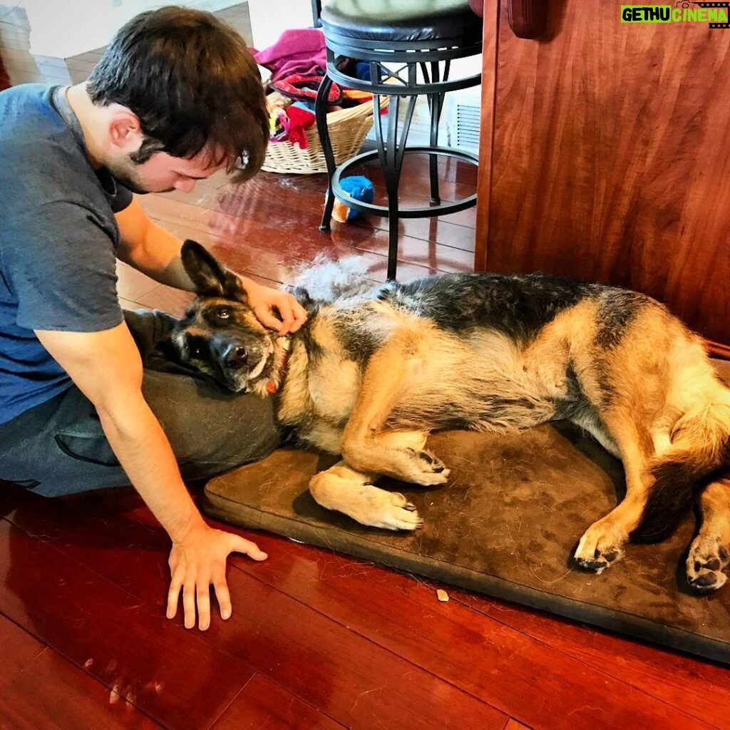 Nathan Kress Instagram - Bye, sweet girl. You had a hard life for a lot of years before being rescued... but I hope that we, and the others who loved you, were able to make up for it in the end. You are already deeply missed, but the knowledge that you are finally at rest is a relief to those who knew you best. You were one of the greats, Lucy ❤