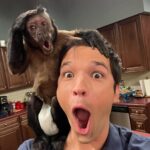 Nathan Kress Instagram - Just on set w/ my best friend lol we r so silly Los Angeles, California