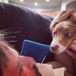 Nathan Kress Instagram - “Babe we should let Penny on the couch. She’s 5 months old, what could possibly happen??” -my wife A razor-sharp canine tooth dragged along the inside of my nostril, that’s what.