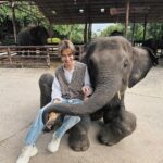 Natouch Siripongthon Instagram - 🐘