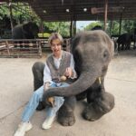 Natouch Siripongthon Instagram - 🐘