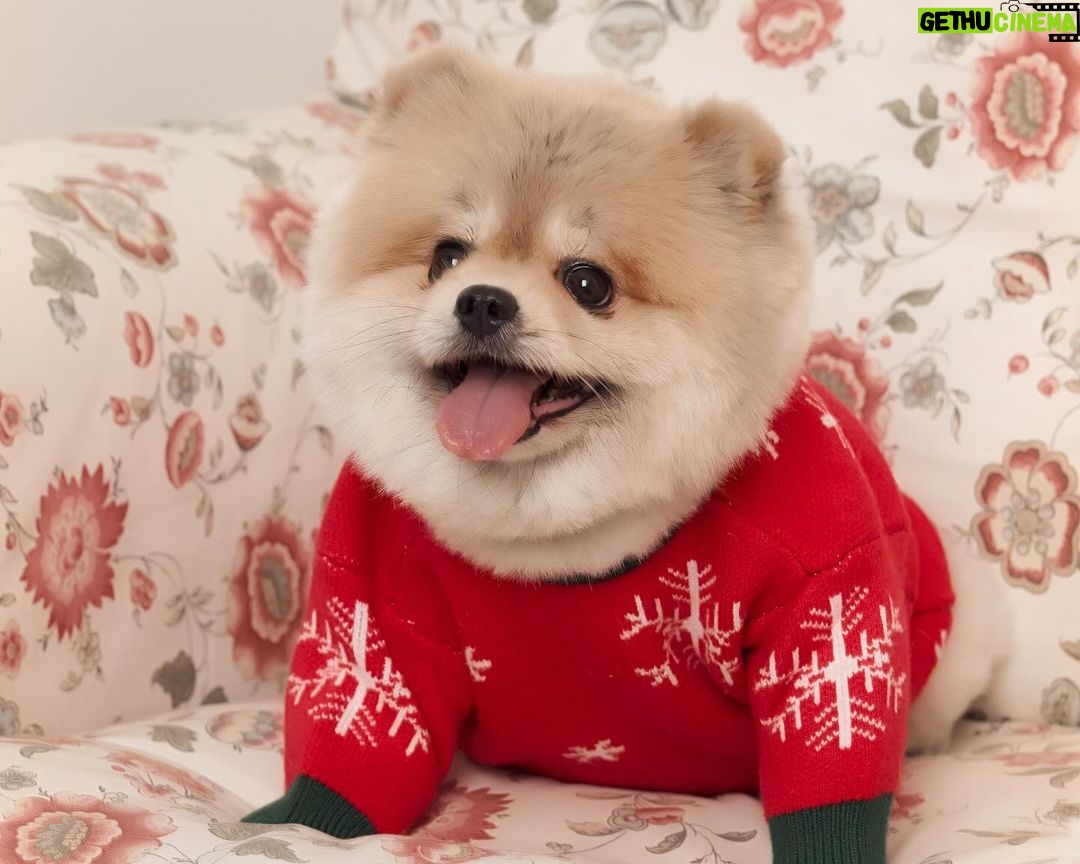 Natouch Siripongthon Instagram - Itβs beginning to look a lot like Christmas π
π» π
