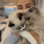 Nattie Katherine Neidhart-Wilson Instagram - Merry Christmas!!!!!!! And Happy Holidays! Love @2pawz and his bff Oscar Wild ❤️🎄