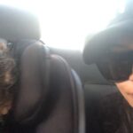 Naya Rivera Instagram – He never ceases to surprise me. Ps my moms “go head Josey!” 😂👌🏽 #inmyfeelingschallenge