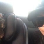 Naya Rivera Instagram - He never ceases to surprise me. Ps my moms "go head Josey!" 😂👌🏽 #inmyfeelingschallenge
