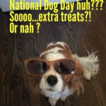 Naya Rivera Instagram - 🐶