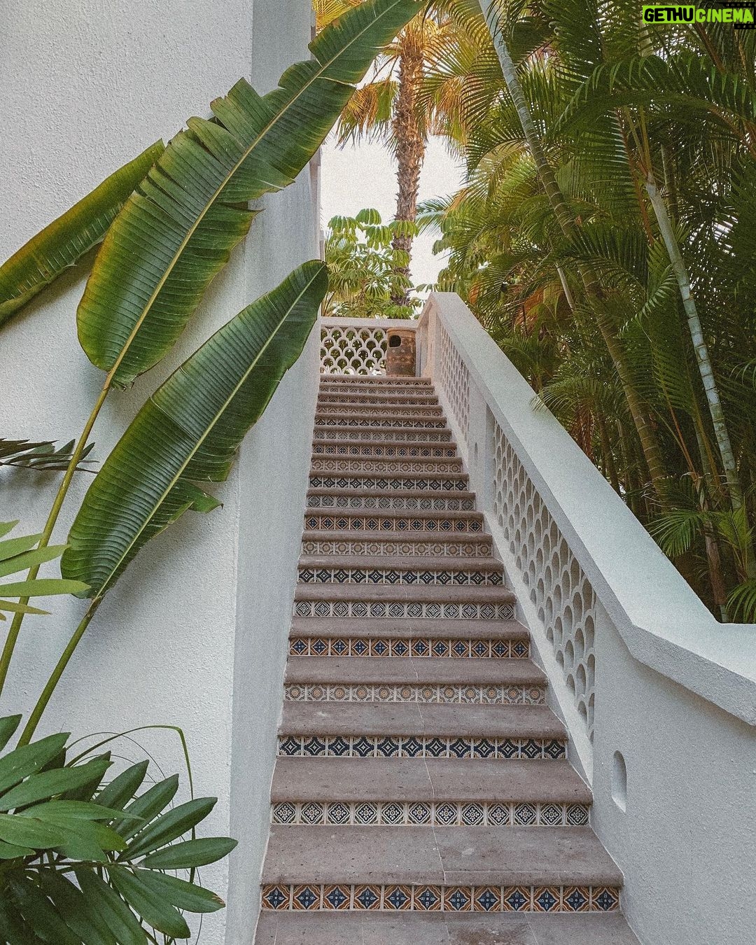 Naya Rivera Instagram - There is beauty in every step you take