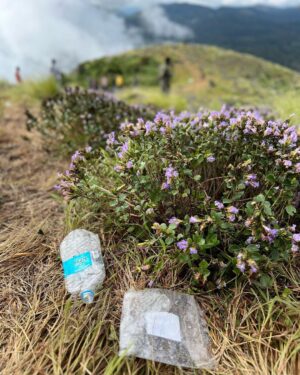 Neeraj Madhav Instagram - #neelakurinji visitis are turning out to be a collosal disaster. People are leaving large amounts of plastic waste not just around the site, but literally on these precious flower bushes. The authorities are trying their best to clear this, but people don’t seem to care. A request to everyone who’s visiting these prestine sites, pls don’t carry plastic & incase if you do, please please don’t throw it away. 💔🙏🏽