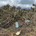 Neeraj Madhav Instagram - #neelakurinji visitis are turning out to be a collosal disaster. People are leaving large amounts of plastic waste not just around the site, but literally on these precious flower bushes. The authorities are trying their best to clear this, but people don’t seem to care. A request to everyone who’s visiting these prestine sites, pls don’t carry plastic & incase if you do, please please don’t throw it away. 💔🙏🏽 Kallippara View Point