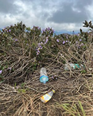 Neeraj Madhav Instagram - #neelakurinji visitis are turning out to be a collosal disaster. People are leaving large amounts of plastic waste not just around the site, but literally on these precious flower bushes. The authorities are trying their best to clear this, but people don’t seem to care. A request to everyone who’s visiting these prestine sites, pls don’t carry plastic & incase if you do, please please don’t throw it away. 💔🙏🏽