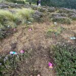 Neeraj Madhav Instagram - #neelakurinji visitis are turning out to be a collosal disaster. People are leaving large amounts of plastic waste not just around the site, but literally on these precious flower bushes. The authorities are trying their best to clear this, but people don’t seem to care. A request to everyone who’s visiting these prestine sites, pls don’t carry plastic & incase if you do, please please don’t throw it away. 💔🙏🏽 Kallippara View Point