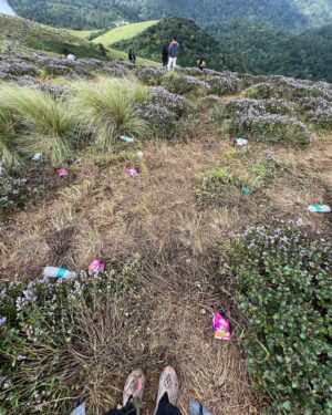 Neeraj Madhav Instagram - #neelakurinji visitis are turning out to be a collosal disaster. People are leaving large amounts of plastic waste not just around the site, but literally on these precious flower bushes. The authorities are trying their best to clear this, but people don’t seem to care. A request to everyone who’s visiting these prestine sites, pls don’t carry plastic & incase if you do, please please don’t throw it away. 💔🙏🏽