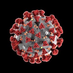 Neil deGrasse Tyson Instagram - We assemble Into tribes based on politics, religion, skin color, language, education, birthplace, wealth, & gender expression. Yet COVID-19 reminds us we’re all the same.

The virus doesn’t discriminate, even if we do.