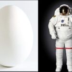 Neil deGrasse Tyson Instagram - When you think about it, an Egg is a just Spacesuit for an Embryo.