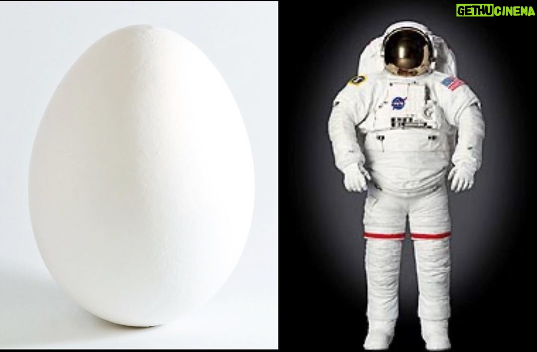 Neil deGrasse Tyson Instagram - When you think about it, an Egg is a just Spacesuit for an Embryo.