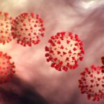 Neil deGrasse Tyson Instagram - As humans, we like to think we're in charge of our own corner of the universe. But every now and then a microscopic entity reminds us that we are not. Welcome to the #Coronaverse.