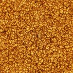 Neil deGrasse Tyson Instagram - MESMERIZING: The Sun’s five-thousand degree roiling surface in higher resolution than ever before. “Cells” are the size of Texas. [National Science Foundation. Inouye Solar Telescope, Maui]